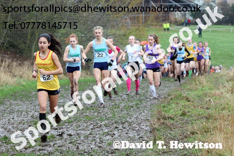 Intermediate girls Northern Inter Counties Schools Cross Country, Stockton. Photo: David T. Hewitson/Sports for All Pics